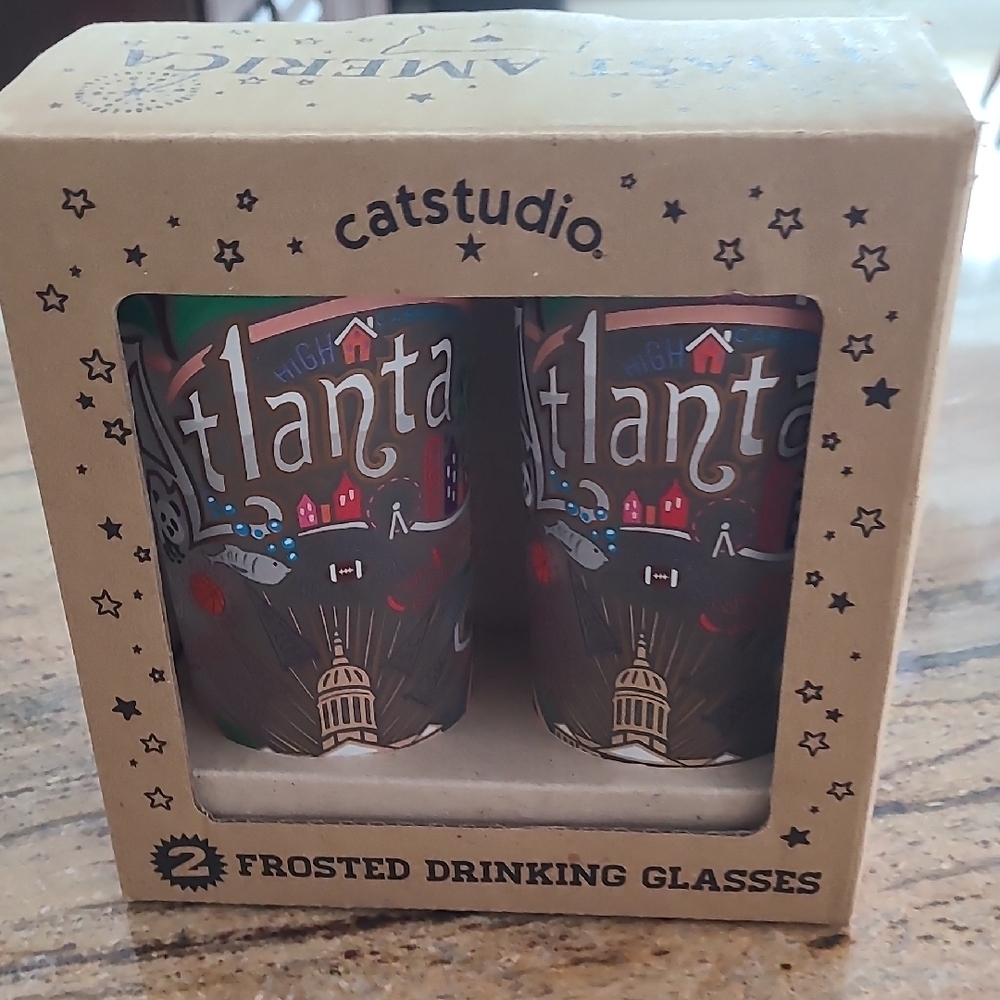 Studio Atlanta Frosted Drinking Glasses - Set of 2